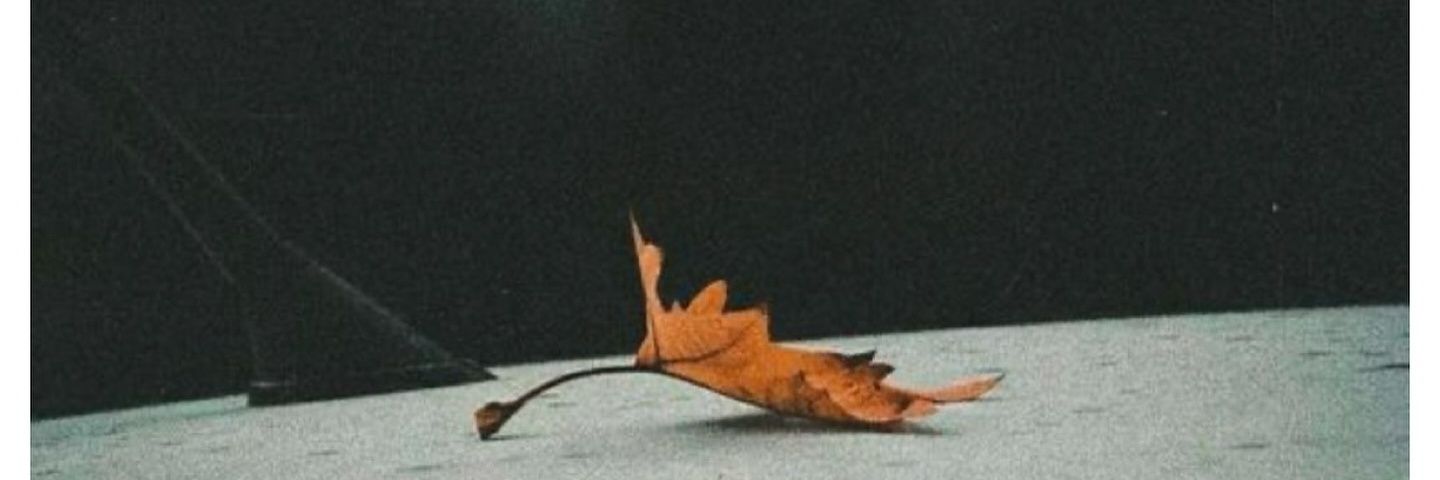 DavutTertemizz's profile banner image