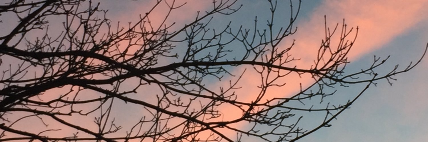 LieveGabriela's profile banner image