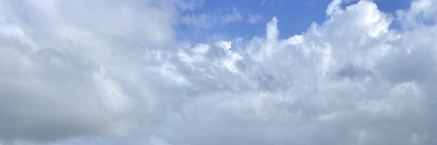 neusgomez4's profile banner image