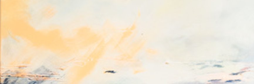 fiercelyconnect's profile banner image