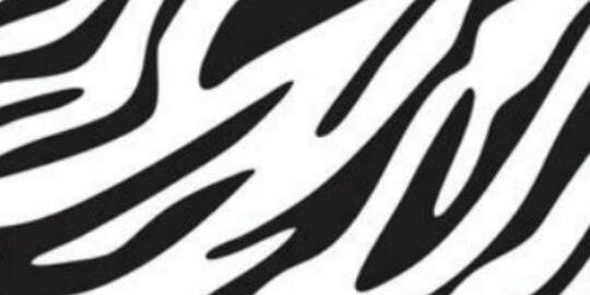 RaquelPa98's profile banner image