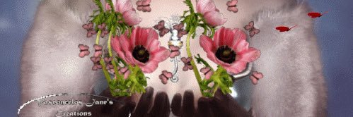 almansi2017's profile banner image