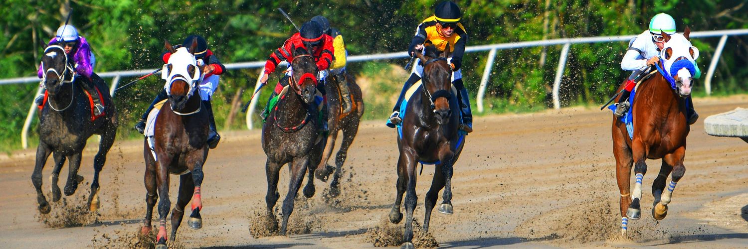 𝐉𝐨𝐞 𝐁𝐫𝐮𝐧𝐨 𝐎𝐫𝐭𝐢𝐳 banner