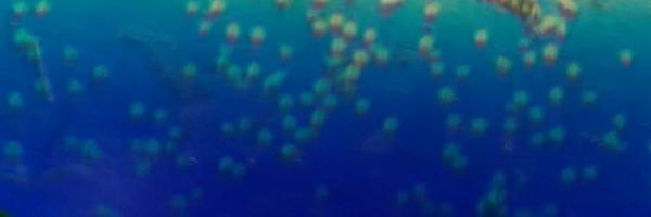 bnschlz Profile Banner