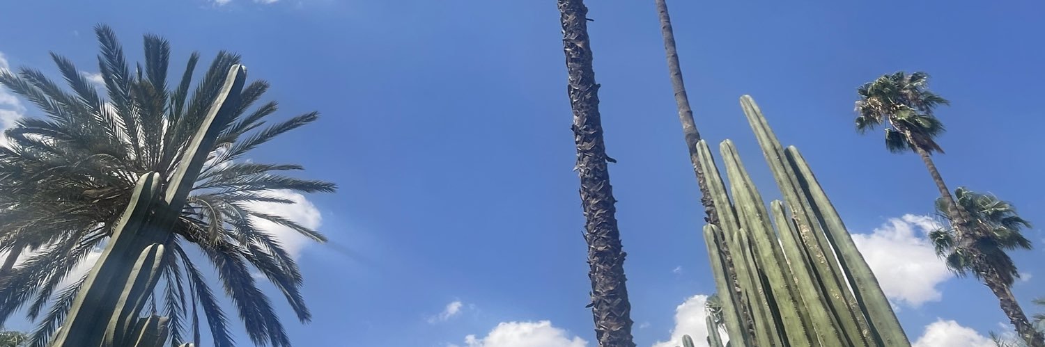 claravf's profile banner image