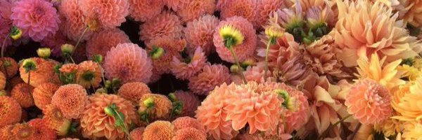 Official_AaronJ Profile Banner