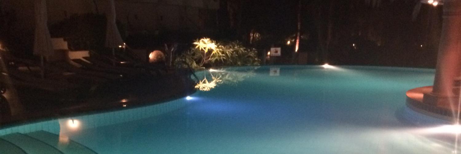 Sweet Brown1981 banner