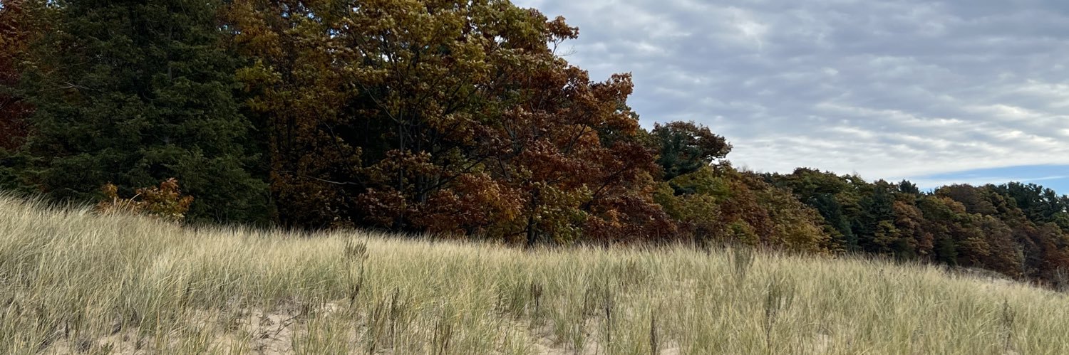 Nancy VanHorn banner