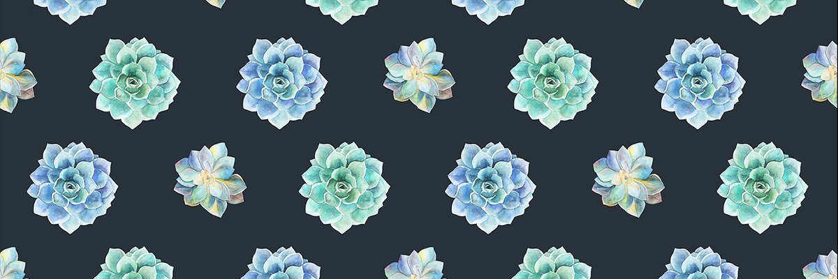 katiemoest's profile banner image