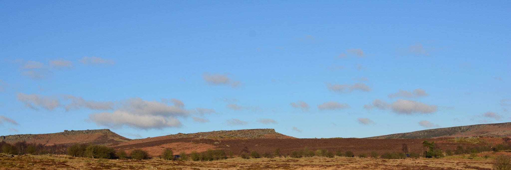 Peter Johnson banner