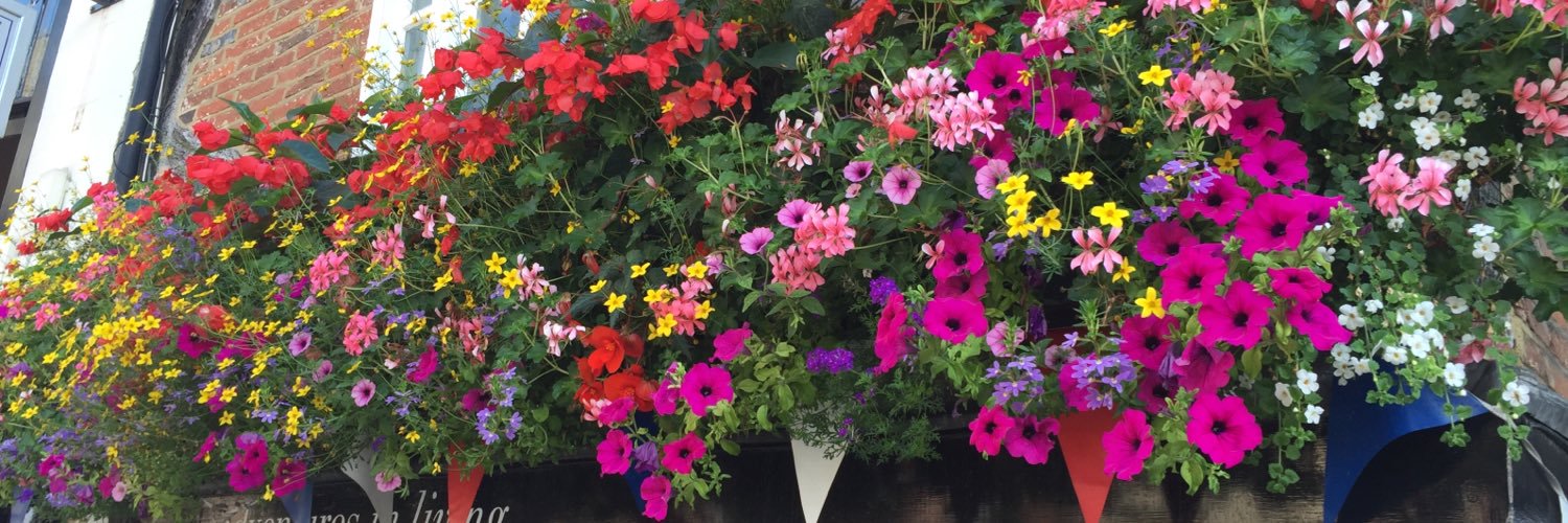 Windowflowers banner