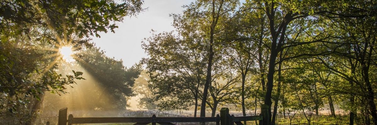 MarketingOost | Regie op Vrijetijdseconomie banner