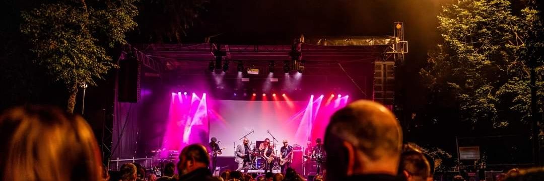 the downsetters banner