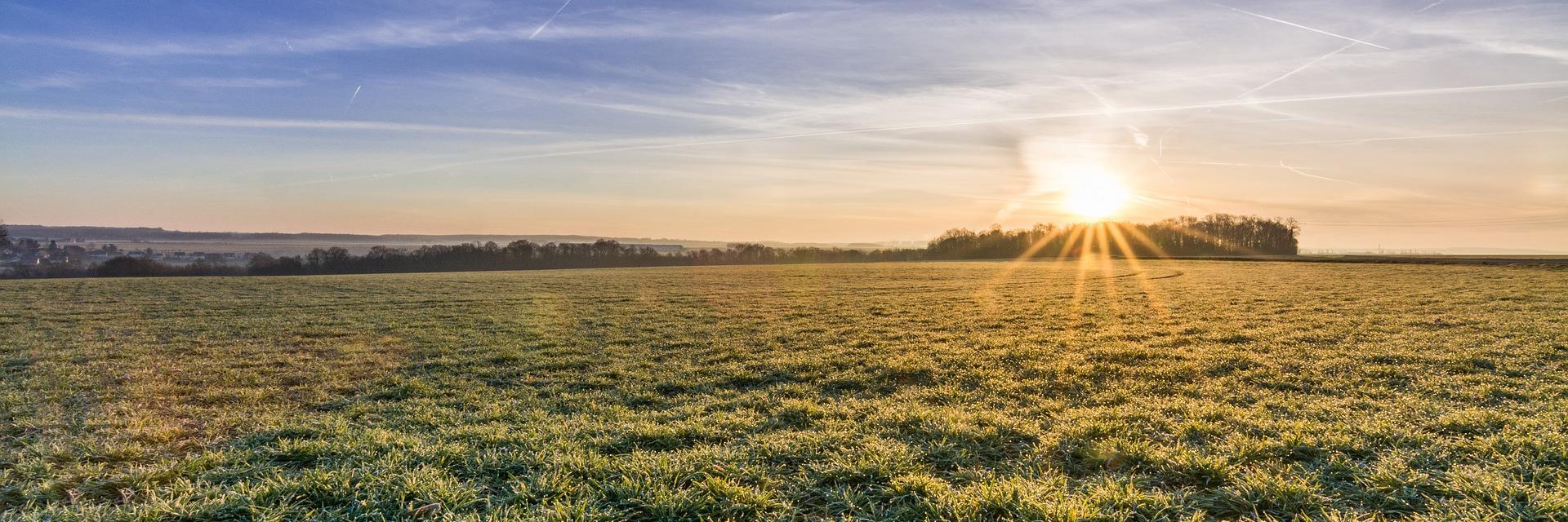 insideAgro's profile banner image