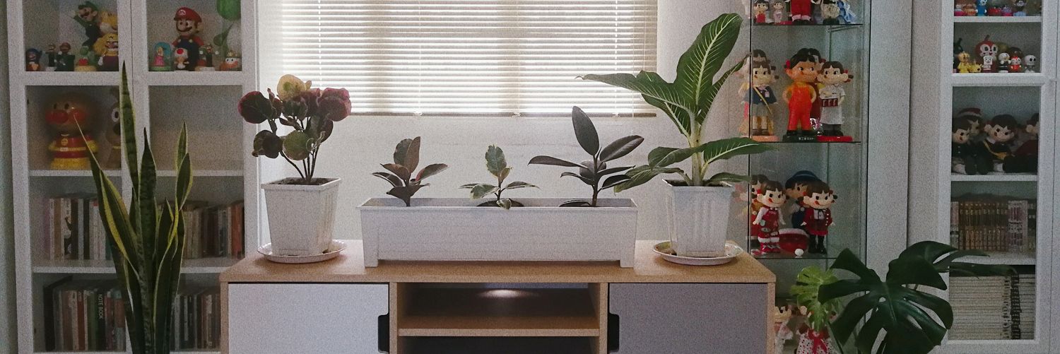 oraeng's profile banner image