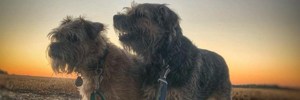 ScrappyN Profile Banner