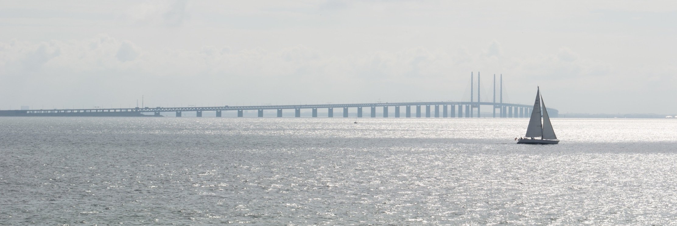 bjajida's profile banner image