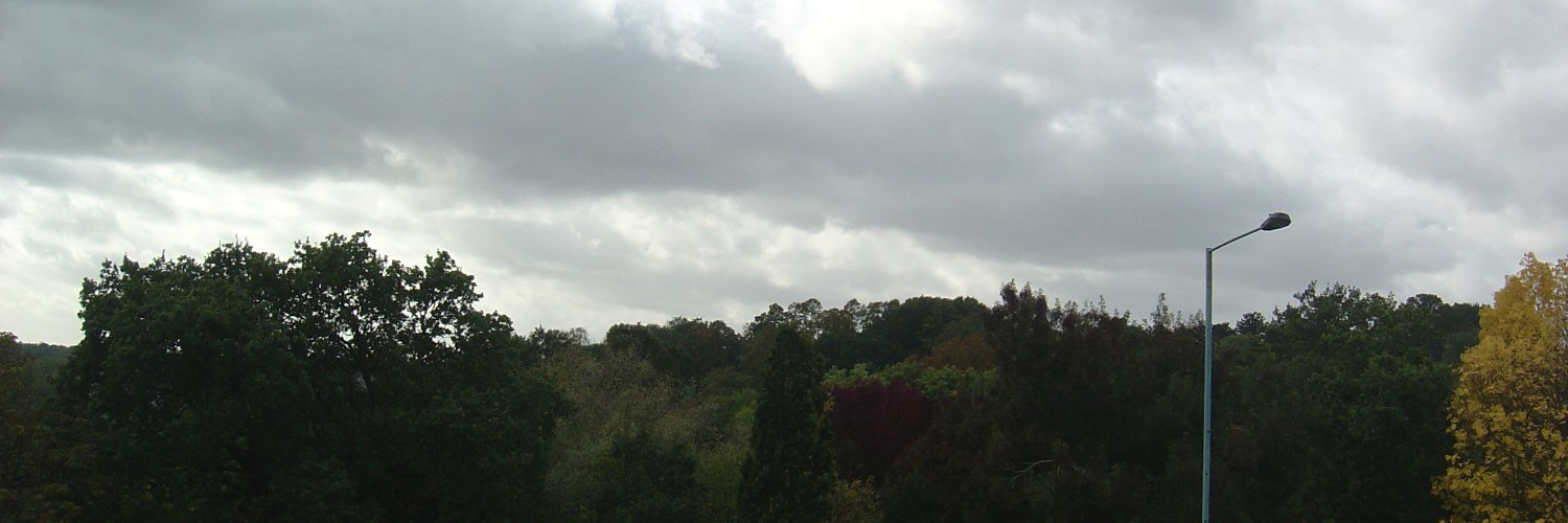 AllyPallyWatch's profile banner image