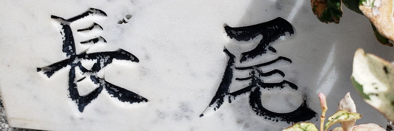 NagaTail's profile banner image