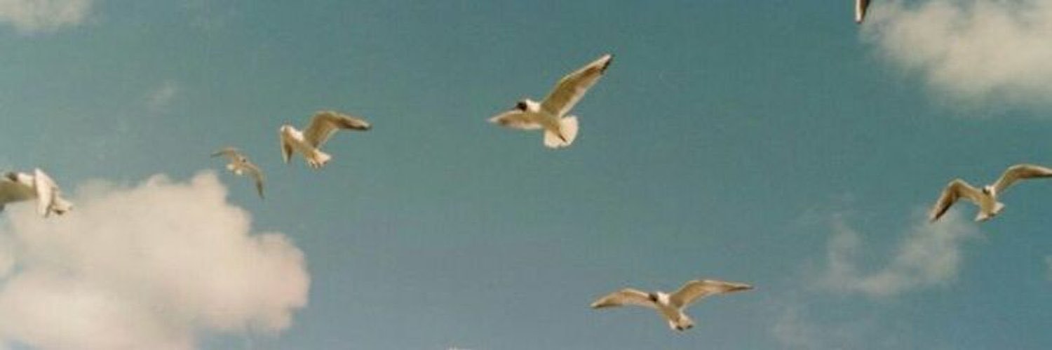 inoz2_'s profile banner image
