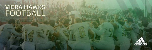 VieraHawks Profile Banner