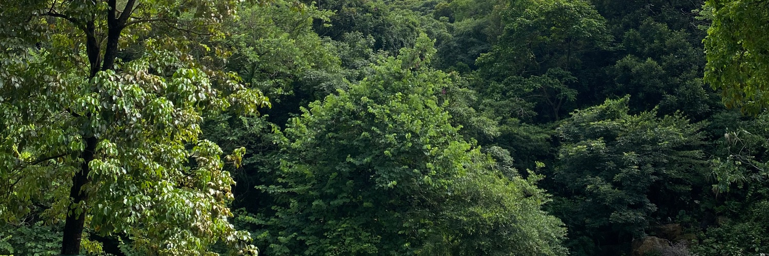 liaaron313's profile banner image