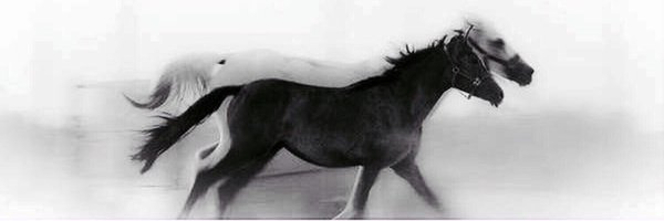 ZN5OO's profile banner image