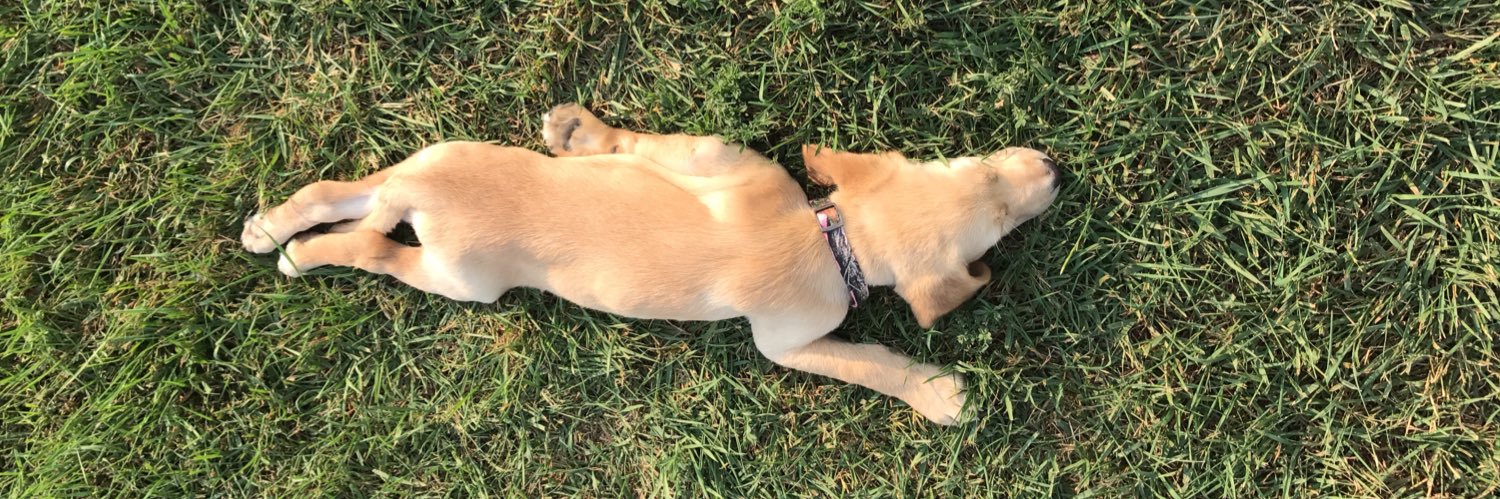 Dakota Messer banner