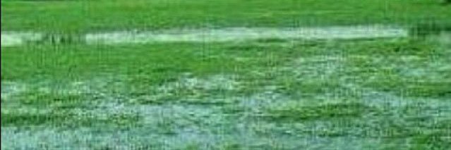 mkm1408's profile banner image