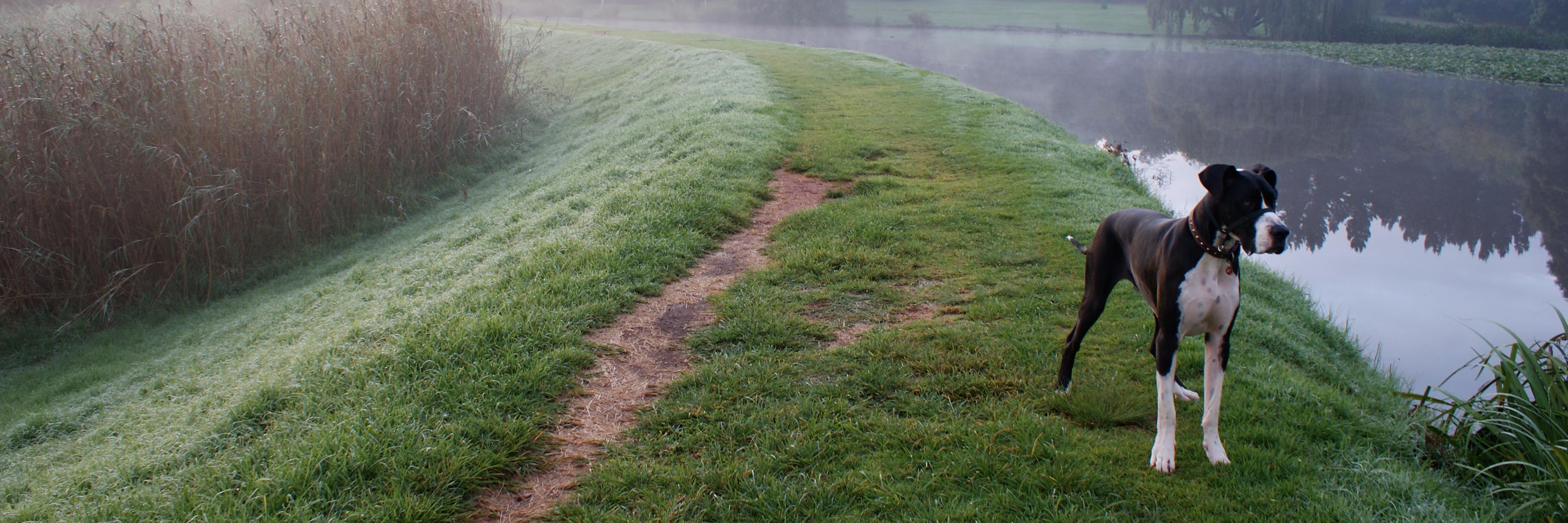 Jannes Eiselen banner