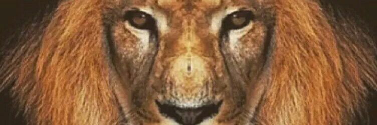 charlyloic's profile banner image
