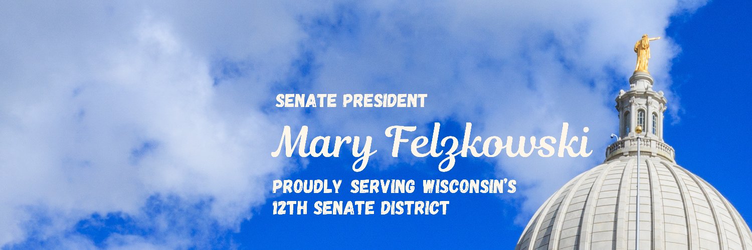 Senator Mary Felzkowski's banner