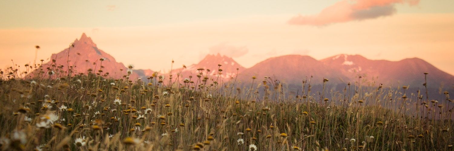 illibritez's profile banner image