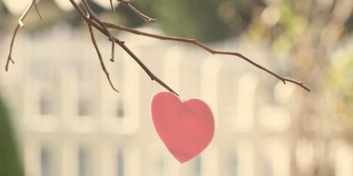 sabine_schaade's profile banner image