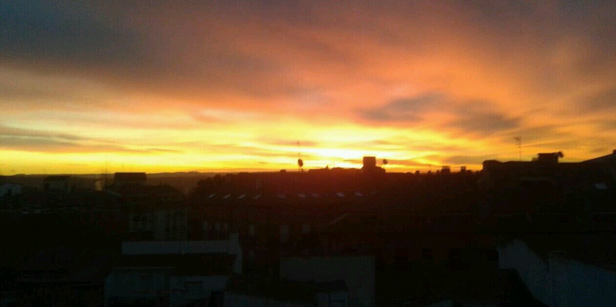 sagragl's profile banner image