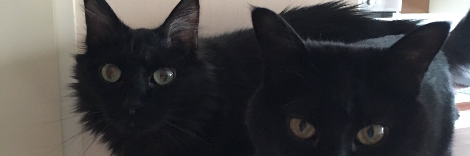 lplemos's profile banner image