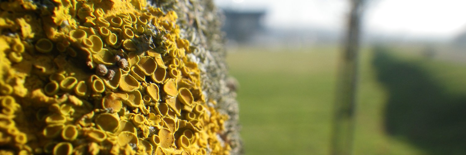 liammcneilly's profile banner image