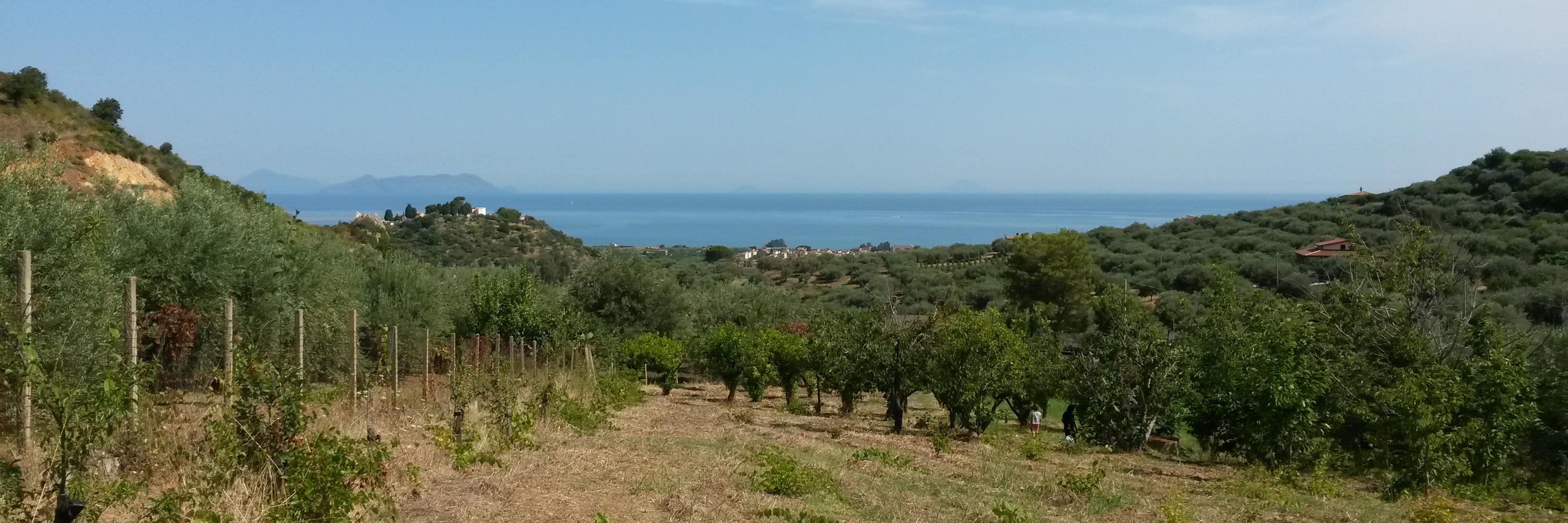 Alessandro Pavanati banner