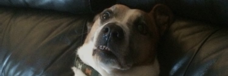 CitizenSnipsz's profile banner image