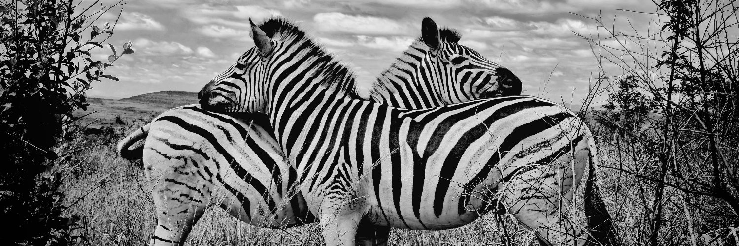 Hon. Min. of hot wings 👱🍗🍗 banner