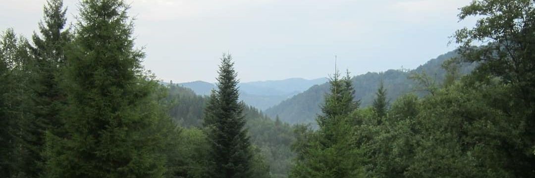 Кисіль banner