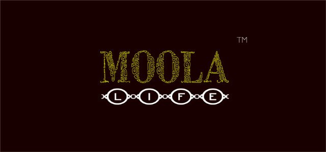 xmoolaworld's profile banner image