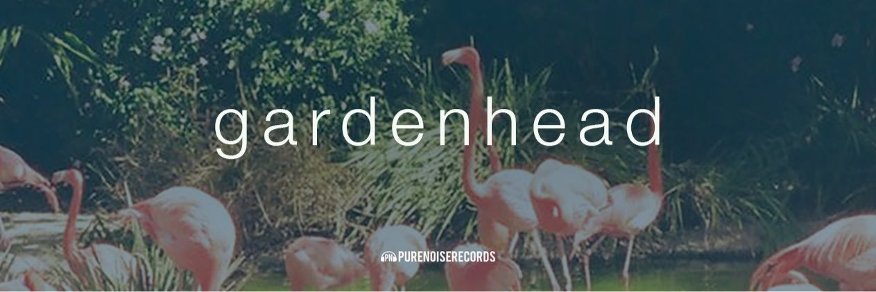 Gardenheadny's profile banner image