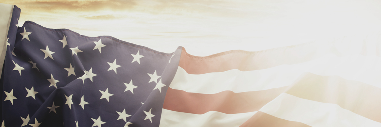 Marlin Firearms banner