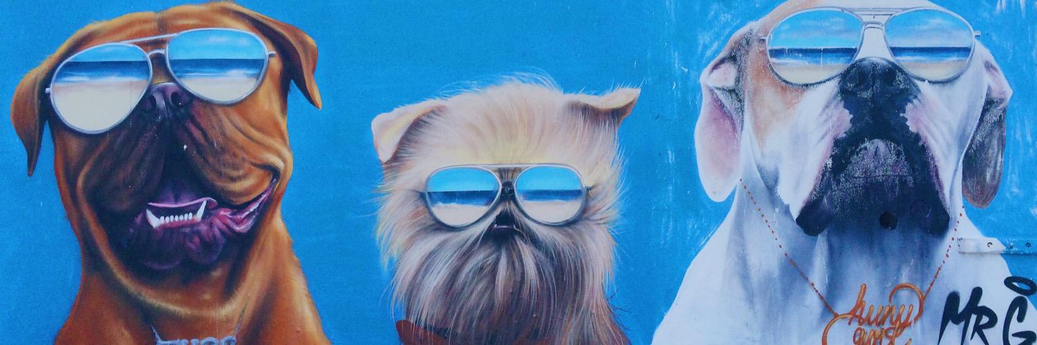 nikosbubble's profile banner image