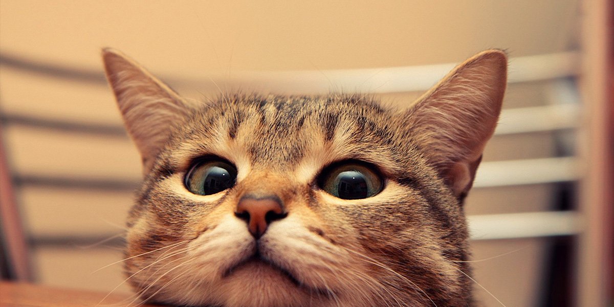 AnnaSBJ's profile banner image
