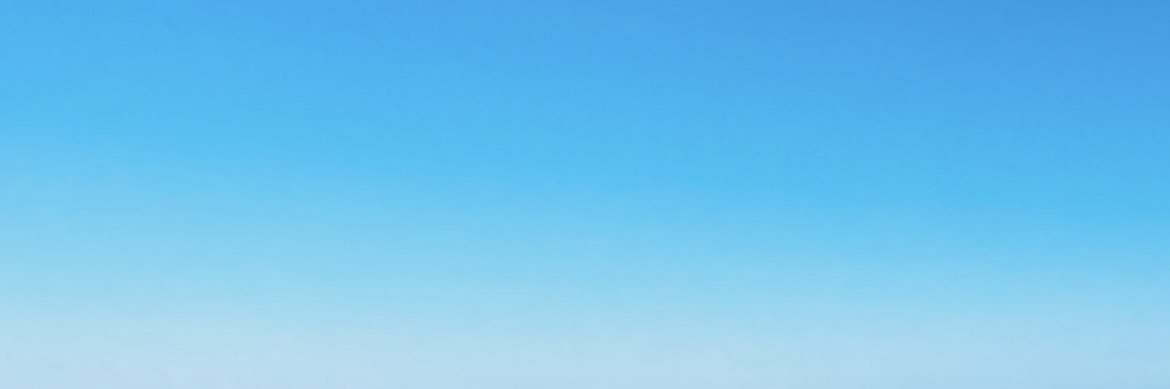 guzfox's profile banner image