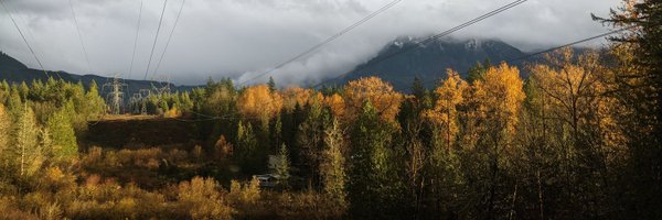 Popular_Pixels Profile Banner