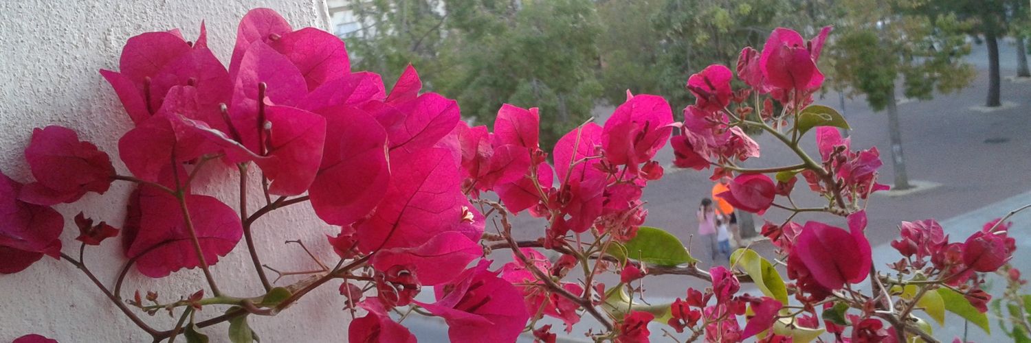 MARIBELCANTOS's profile banner image