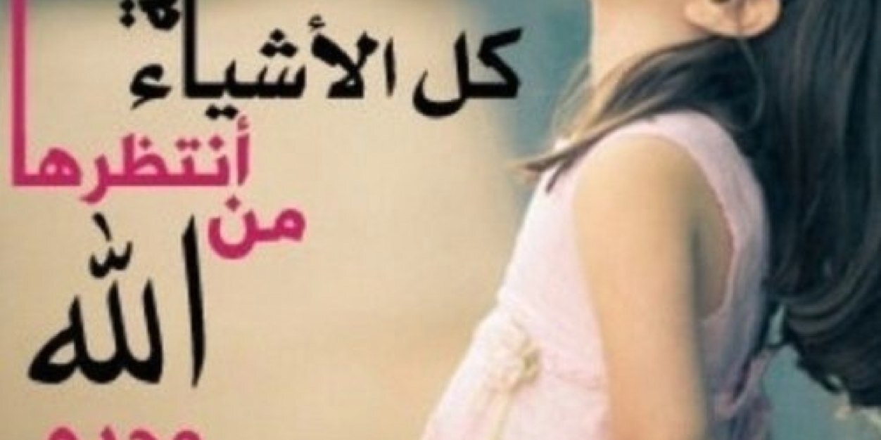 nnmaal2012's profile banner image